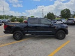 2025 F-150 Thumbnail 4