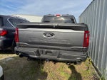 2025 F-150 Thumbnail 7