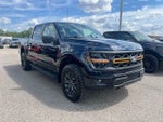 2025 F-150 Thumbnail 3