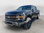 2025 F-150 Thumbnail 1