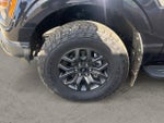 2025 F-150 Thumbnail 9