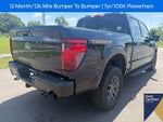 2025 F-150 Thumbnail 13