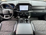 2025 F-150 Thumbnail 13