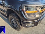 2025 F-150 Thumbnail 9