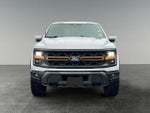 2025 F-150 Thumbnail 3