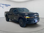 2025 F-150 Thumbnail 3