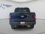 2025 F-150 Thumbnail 6