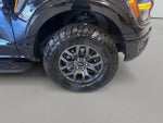 2025 F-150 Thumbnail 10