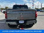 2025 F-150 Thumbnail 10