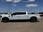 2025 F-150 Thumbnail 2