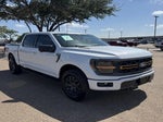 2025 F-150 Thumbnail 5