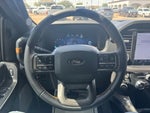 2025 F-150 Thumbnail 8