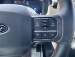 2025 F-150 Thumbnail 10
