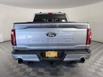 2024 F-150 Thumbnail 6