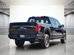 2025 F-150 Thumbnail 6