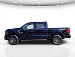2025 F-150 Thumbnail 9