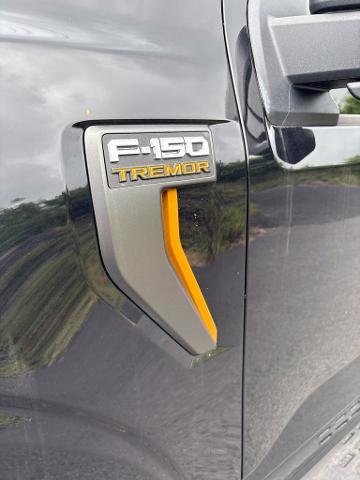 2025 Ford F-150 - $64,995