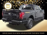 2024 F-150 Thumbnail 6