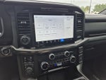2025 F-150 Thumbnail 6