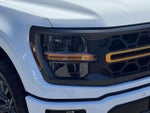 2025 F-150 Thumbnail 12
