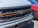 2025 F-150 Thumbnail 4