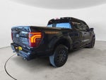 2024 F-150 Thumbnail 5