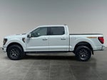 2026 F-150 Thumbnail 4
