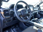 2026 F-150 Thumbnail 14