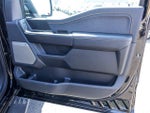 2026 F-150 Thumbnail 33