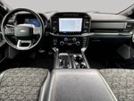 2024 F-150 Thumbnail 10