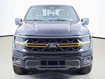 2025 F-150 Thumbnail 12