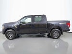 2025 F-150 Thumbnail 14