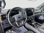 2025 F-150 Thumbnail 19