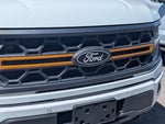 2025 F-150 Thumbnail 4