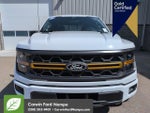 2026 F-150 Thumbnail 10