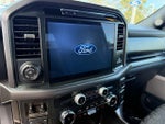 2025 F-150 Thumbnail 15