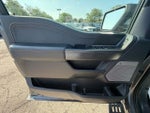 2025 F-150 Thumbnail 10
