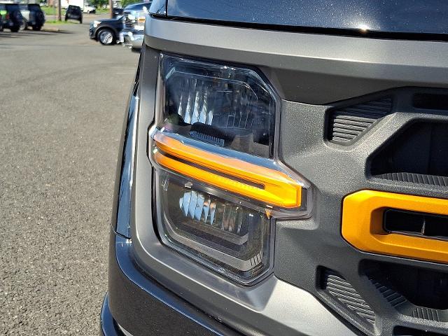 2025 Ford F-150 - $59,388