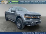 2025 F-150 Thumbnail 1