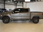 2025 F-150 Thumbnail 6