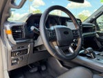 2025 F-150 Thumbnail 10