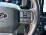2025 F-150 Thumbnail 14
