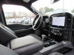 2025 F-150 Thumbnail 14