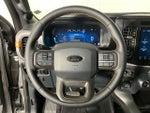 2025 F-150 Thumbnail 17
