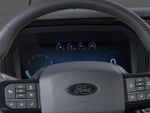 2025 F-150 Thumbnail 14