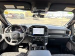 2025 F-150 Thumbnail 14