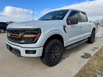 2025 F-150 Thumbnail 12