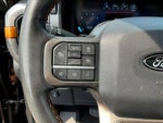 2025 F-150 Thumbnail 14