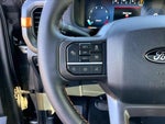 2025 F-150 Thumbnail 14