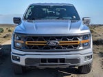 2025 F-150 Thumbnail 8